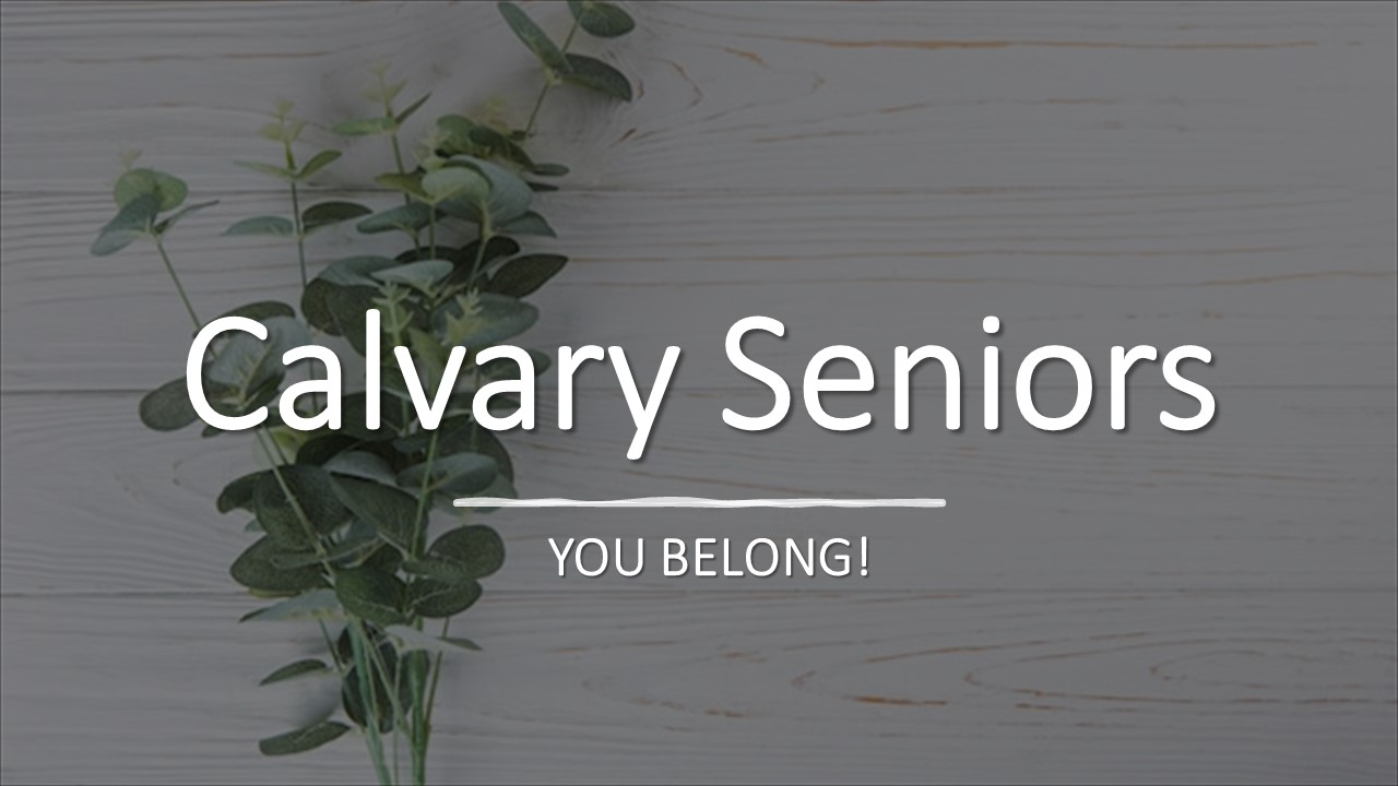 Calvary Seniors Banner